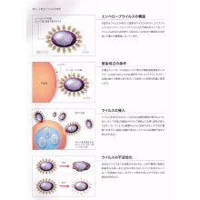 その他詳細2: オロクリーン プラス