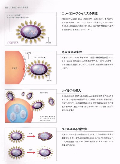 画像2: イソラピッド